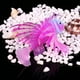 thumbnail image 1 of Silicona artificial Pez león de plástico Luminoso Peces falsos Acuario Pecera Adorno Resplandor Simulación, 1 of 2