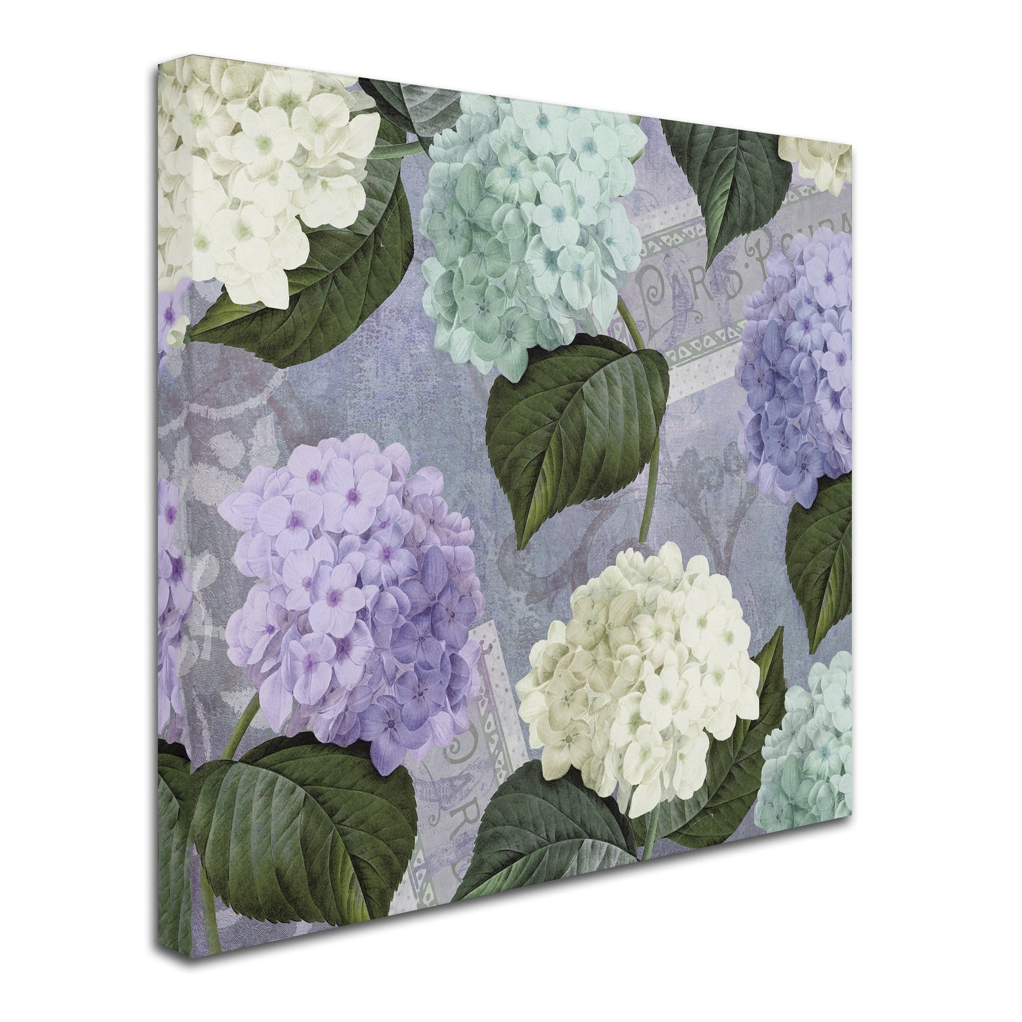 Trademark Fine Art "Hortensia Lavenders" Canvas Art by Color Bakery