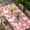 Pink, variant on Tropical Plants Table Cloths for 3 Foot Rectangle Tables, Summer Modern Abstract Camels Sky Blue Patio Waterproof Elastic Fitted Tablecloths, Washable Rectangular Table Cover for Camping