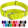 thumbnail image 1 of HSHDLDF Country Brook Petz Martingale Heavyduty Nylon Dog Collar 21 Vibrant Color Options (3/4 Inch Width, Small), 1 of 6