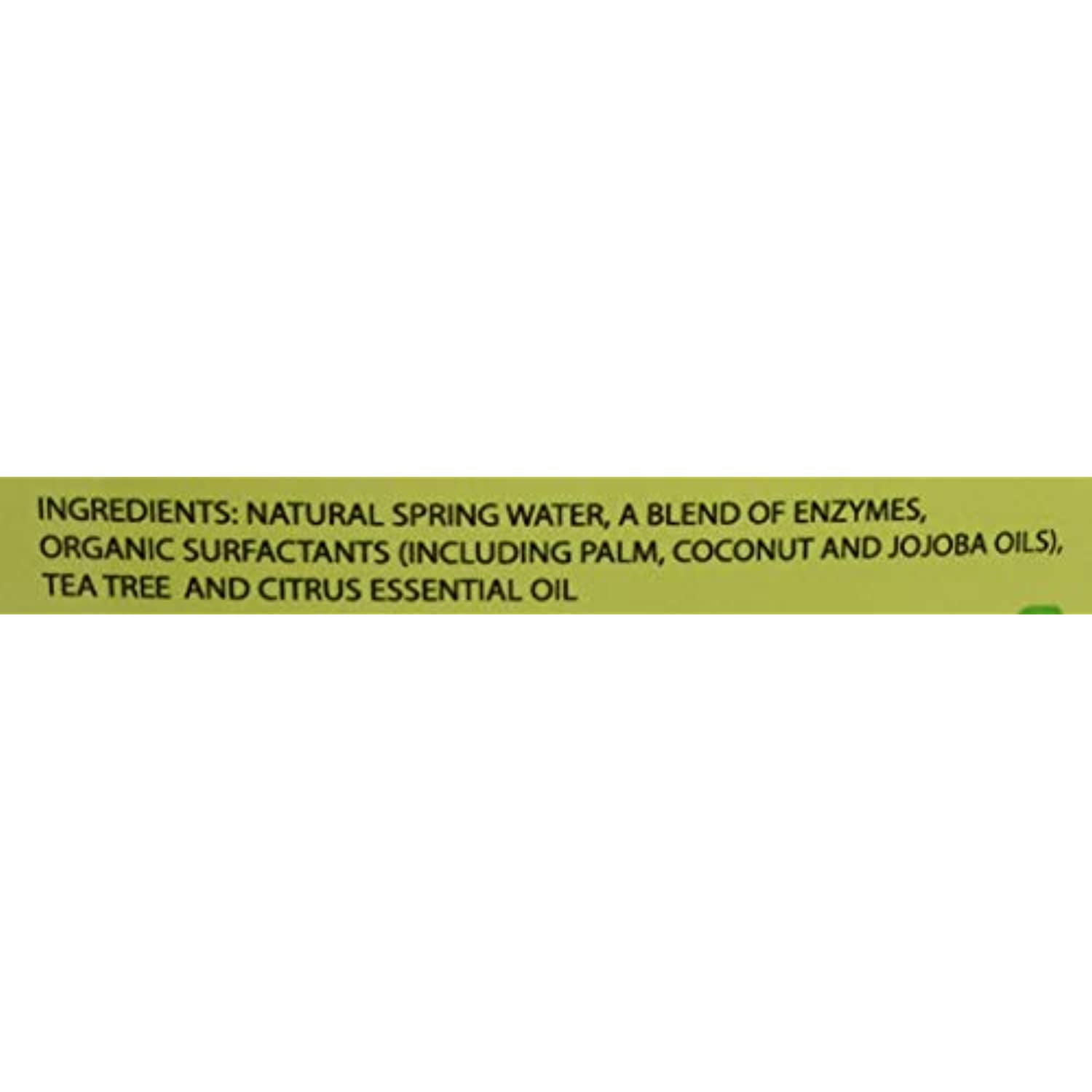 22 Ounce Wiz B Gone Stain and Odor Remover For Carpet and Upholstery