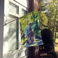 thumbnail image 2 of Carolines Treasures SS8181CHF Drapeau Afghan Hound en Toile - Taille Maison, 2 of 4