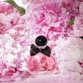 thumbnail image 3 of Perfume Michel Germain Sexual Noir Eau de Parfum 75 ml, 3 of 9