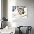 thumbnail image 3 of Nawypu AMERICAN SHORTHAIR KITTEN Animal Poster - Poster Print Art Canvas Prints Poster Wall Art For Home Office Decorations With Framed, 3 of 4