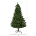 thumbnail image 4 of Nearly Natural 6' Green Fir Artificial Christmas Tree Prelit 250 Clear LED Lights, 4 of 9