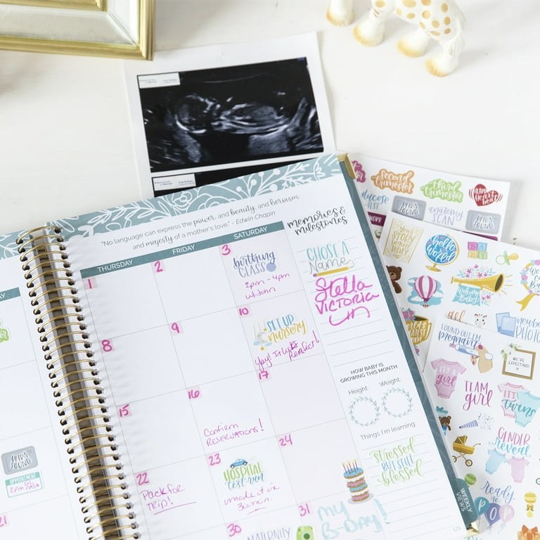 bloom daily planners Sticker Sheets, Pregnancy Planner Stickers V2 