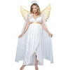 Biblical Guardian Angel Plus Size Costume