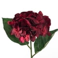 thumbnail image 2 of 25" Hydrangea Stem by Ashland, 2 of 3