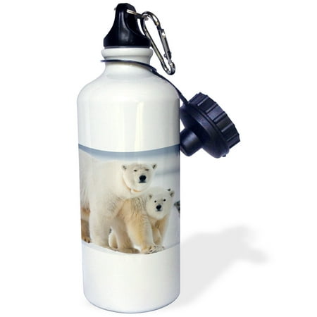 Alaska Cub Bear Knife 3dRose USA, Alaska, Artic NWR, Polar bear sow and cub along a barrier island., Sports Water Bottle, 21oz ()