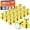 Gold, variant on FINDMAG Tacks Magnets, NeodyMium Magnetic Push Pins, 20 Pack Push Pin Magnets, Rose Gold Fridge Magnets for Classroom, Whiteboard, Bulletin Board, Home, Dry Erase Board, Pictures, Kitchen, Office