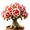 A, variant on Desert Rose, Shade Plant for Gardens-Easy Grow-Low Maintenance-Ideal for Beds Borders, Plant Pots & Planters