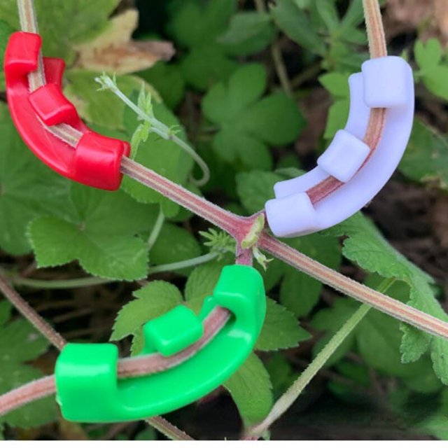 Alicates para plantas de 90 grados, 10/20/50 piezas, entrenador, tutores de manipulación de crecimiento para plantas, Clips, pinzas para ramitas, accesorios para ramitas