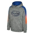 thumbnail image 2 of Youth Colosseum Gray Florida Gators The Gang Hoodie, 2 of 3