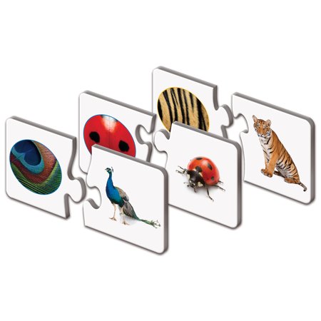 The Learning Journey: Match It! - Spot Me