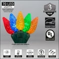 thumbnail image 3 of Wintergreen Lighting C6 Multicolor Christmas Lights LED String Lights, Set of 70 Lights on Green Wire, 24 Ft - Indoor/Outdoor Lighting, 3 of 7