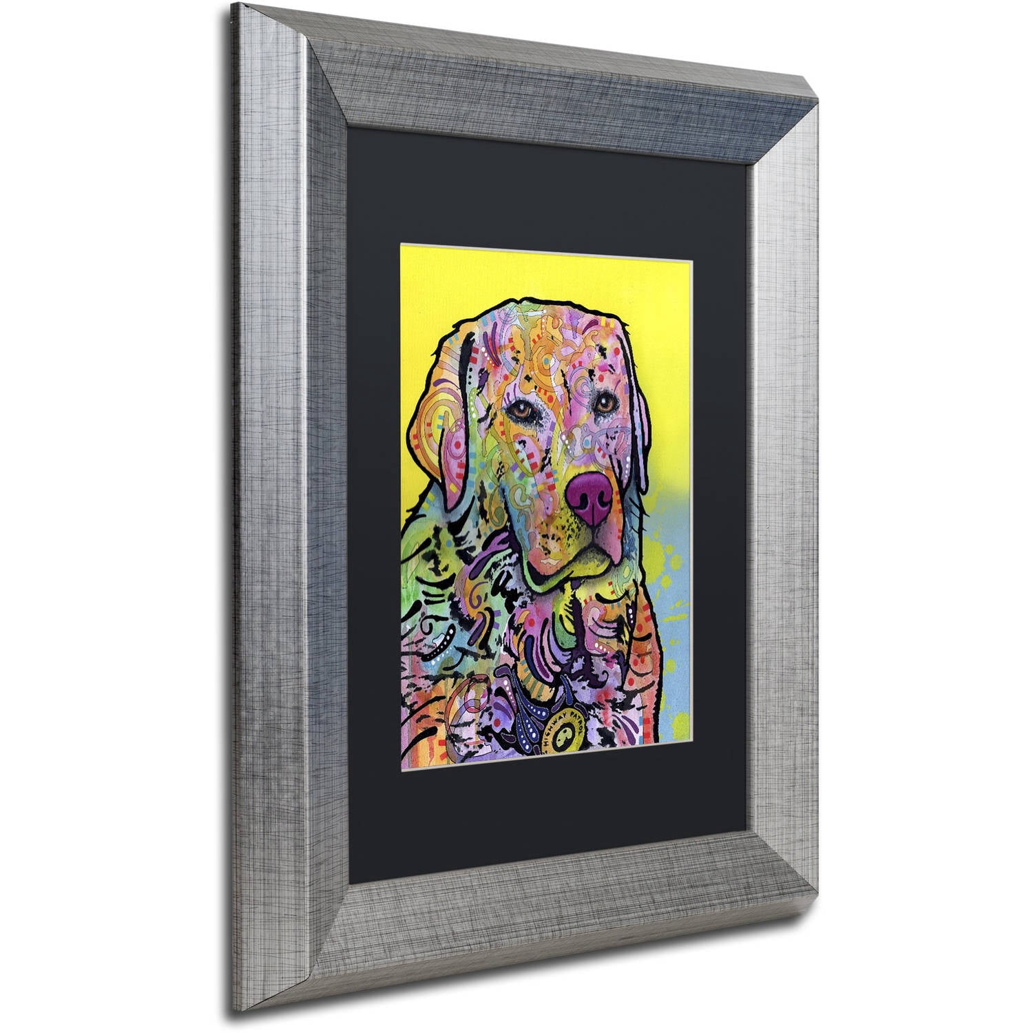 Trademark Fine Art "Goose" Canvas Art by Dean Russo, Black Matte, Silver Frame