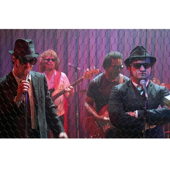 John Belushi And Dan Aykroyd In The Blues Brothers Singing Behind Fence 24X36 Classic Hollywood Poster