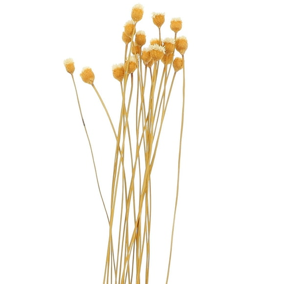 20pcs Flower Reed Diffuser Stick Diffuser Refills Essential Oil Diffuser Stick for SPA