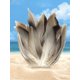 thumbnail image 5 of Material Plumas para Atar Moscas Plumas Pato Manchadas Material para Y Colas Moscas, 5 of 9