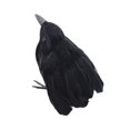 thumbnail image 1 of Decoración de cuervos de Halloween, cuervos con plumas negras, decoración realista de Halloween, pájaros hechos a mano para adorno decorativo de jardí Estilo C Macarena Cuervo negro, 1 of 8