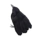 thumbnail image 1 of Decoración de cuervos de Halloween Decoración de Halloween Pájaros Cuervos artificiales Decoración para Estilo C, 1 of 9