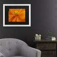 thumbnail image 3 of Trademark Fine Art 'Orange Flower' Canvas Art by Kurt Shaffer, 3 of 4