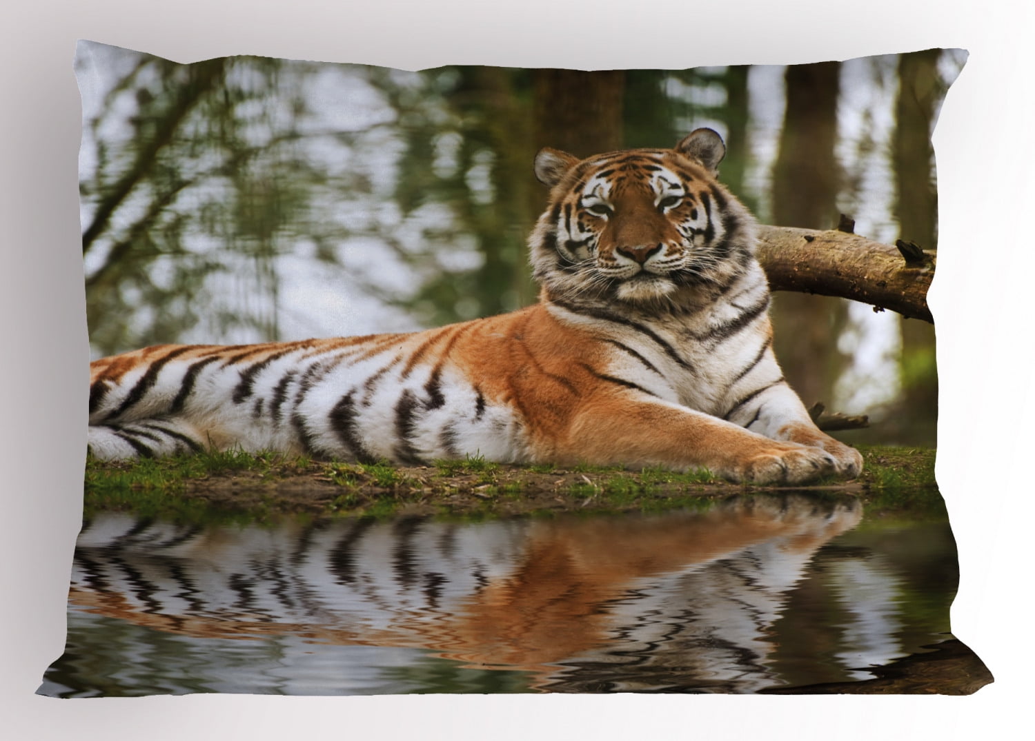 EUROPEAN PILLOWCASE TIGER TRAP