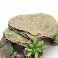 thumbnail image 4 of Moluckfu 1Ud Para De Peces Y Reptiles En Resina Multicolor Resistente, 4 of 8
