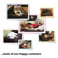 thumbnail image 2 of Kopeks Orthopedic Memory Foam Dog Bed, Brown, Large, 30"L x 9"W x 9"H, 2 of 2