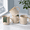 Bonbon Beige-4PCS, variant on 16oz Ceramic Coffee Mugs 4PCS Brick Red Multi-Use Beverage Cups