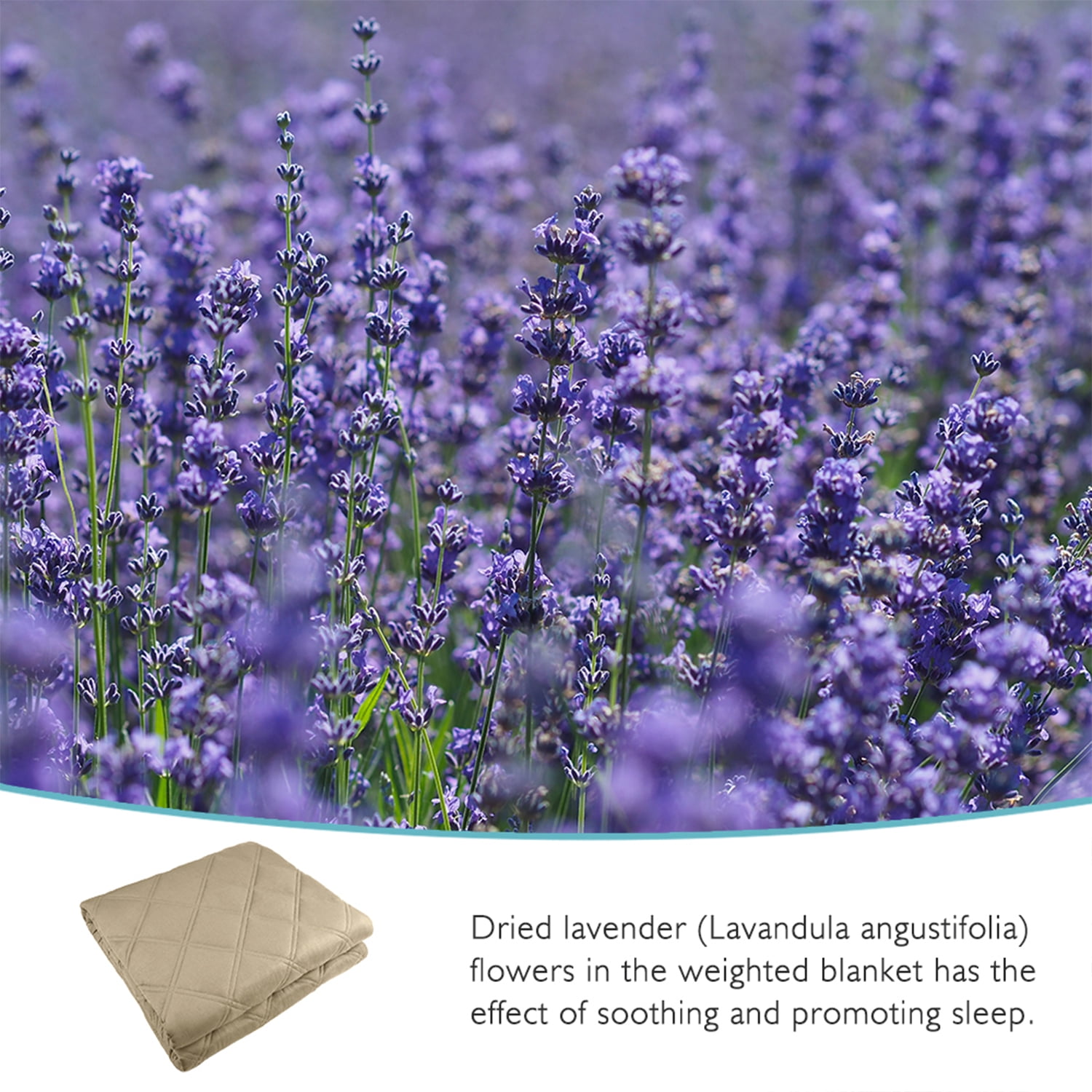 Lavender Weighted Blanket (48" x 72",15 lbs) 100% Cotton Heavy Blanket to Improve Sleep for People With Anxiety