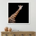 thumbnail image 3 of Designart 'Portrait of A Giraffe On Black Background III' Farmhouse Framed Art Print, 3 of 4