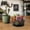 Black, variant on Shallow Plastic Planter Pots with Holes, Modern Indoor/Outdoor Flower Pots for Succulents, Herbs & Houseplants, Lightweight Durable Garden Planters (Only Pot)
