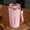 Pink PK, variant on Ganfancp Stainless Steel Coffee Cup Intelligent Temperature Measurement and Insulation Cup With Lifting Rope, Car Portable Mug Clearance Items