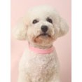 thumbnail image 2 of 1pc Blue Waterproof Pvc Dog Collar With Anti-slip And Durable Function For Small, Medium And Large Size Dogs, Suitable For Outdoor Activities, 2 of 4
