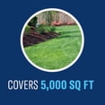 thumbnail image 4 of BioAdvanced Fungus Control for Lawns, Ready-to-Spray, 32 oz, 5,000 Sq Ft, 4 of 6