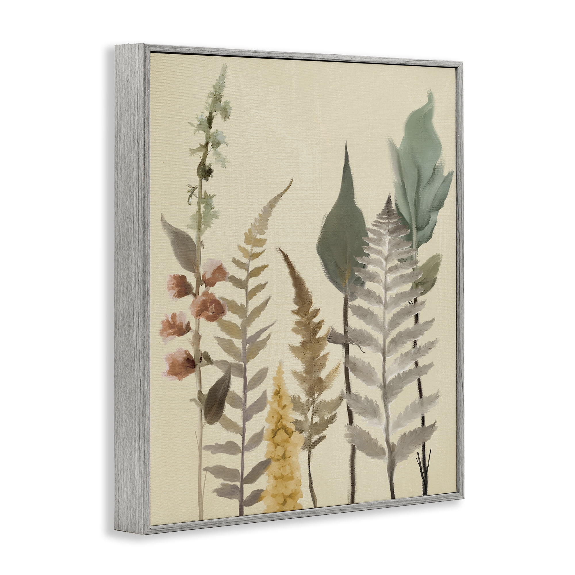 Stupell Industries Fall Botanicals Forest Ferns Gray Framed Giclee Art, design by Elizabeth Medley