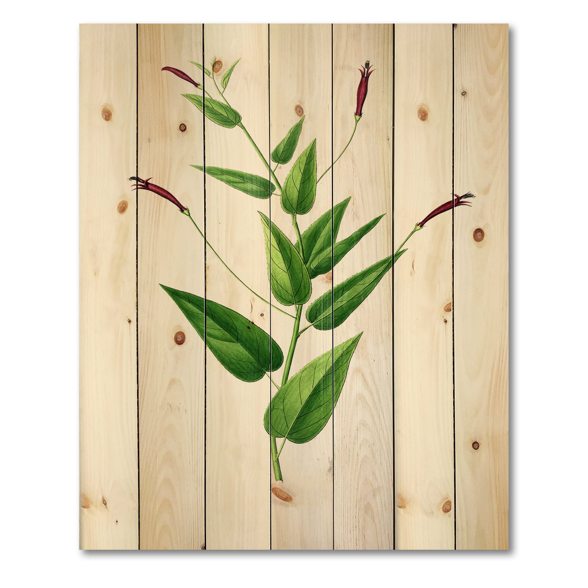 Designart 'Ancient London Plants VII' Traditional Print on Natural Pine Wood