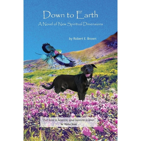Down to Earth, (Paperback)