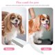 thumbnail image 5 of Peine de pelo para perros, cepillo multifuncional para eliminar piojos de perros, herramienta de aseo para perros y gatos Hugtrwg Para estrenar, 5 of 9