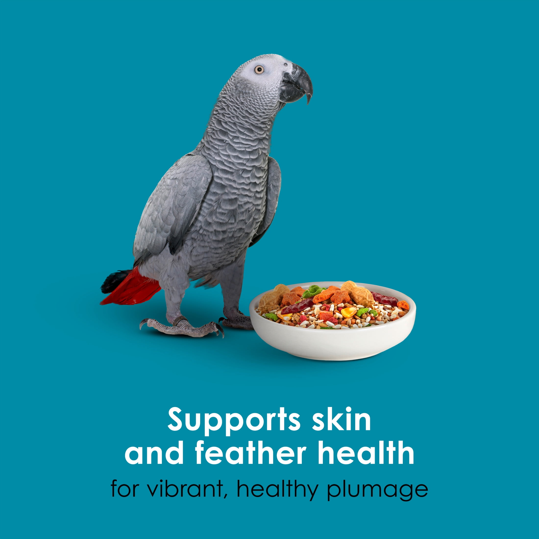 Kaytee Forti-Diet Pro Health + Safflower Nourish+Protect Parrot Food 4 Pounds