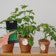 thumbnail image 1 of ADDHAT Accesorios De Jardinería Plásticas Para Soporte De, 1 of 7