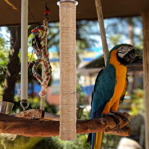 FRCOLOR Sturdy Wooden Bird Perch for Parrot Training Light Brown and Cage Mounting with Screw