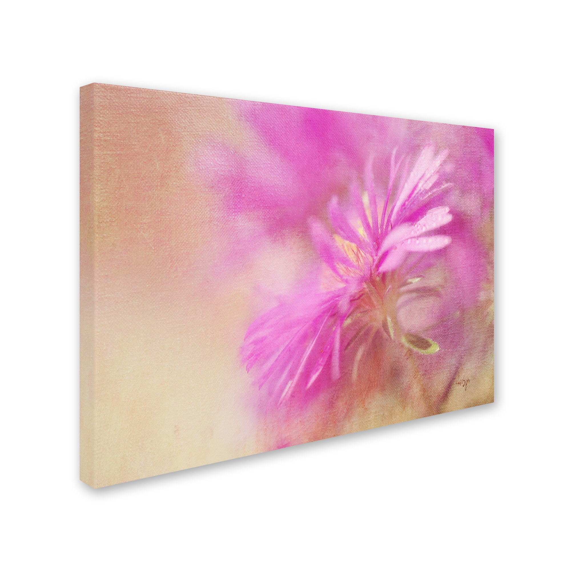 Trademark Fine Art "Dewy Pink Aster" Canvas Art by Lois Bryan