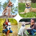 thumbnail image 7 of Minzimin Reflective Dog Collar, Soft Neoprene Padded Pet Collar for Small, Medium, Large Dogs, Adjustable Puppy Collars with Quick Release Buckle, Safe Breathable Nylon Dog Collars for Puppies, 7 of 7
