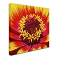 thumbnail image 3 of Trademark Fine Art "Floral Mass Coronal Ejection" Canvas Art by Kurt Shaffer, 3 of 4