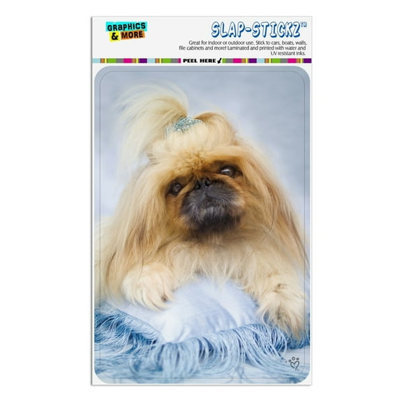 Shih Tzu Dog Blue Feathers Tiara Home Business Office Sign
