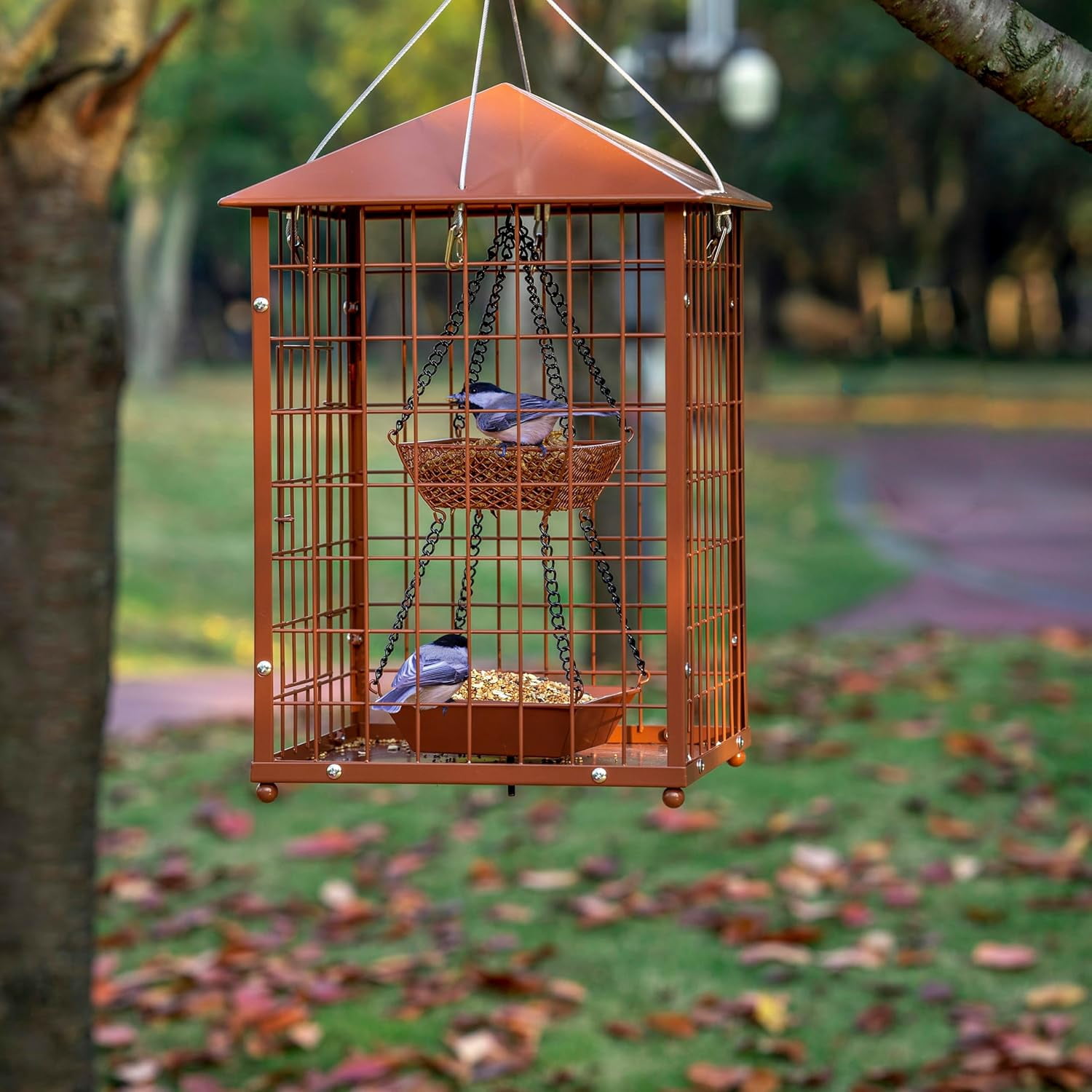 Bird Feeders for Bluebirds - Metal - Huge Caged Squirrel-Proof Bird Feeders with 2 Cups, DIY Wild Bird Feeders Outdoor Hanging (Brown), Attract Wild Birds, 2lbs Seed Capacity+1  Cup