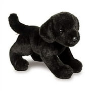 Douglas Brewster Black Lab