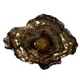 thumbnail image 1 of Grenade Rouge 1616-2 Bol à Huîtres&44; Platine & Argent - Petit, 1 of 1